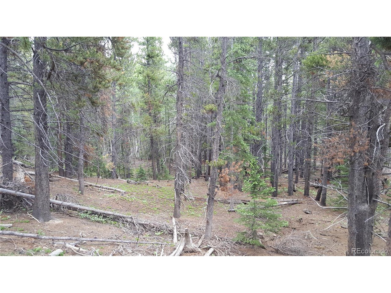 30 Crescent Road Fairplay, CO 80440 - Photo 22 of 36 Gallery Image 22