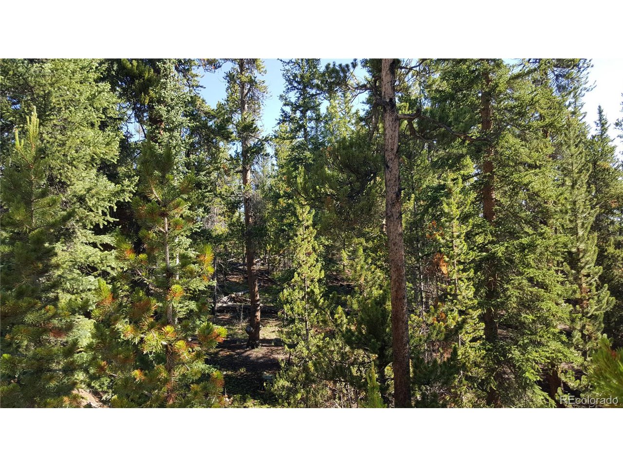 30 Crescent Road Fairplay, CO 80440 - Photo 24 of 36 Gallery Image 24