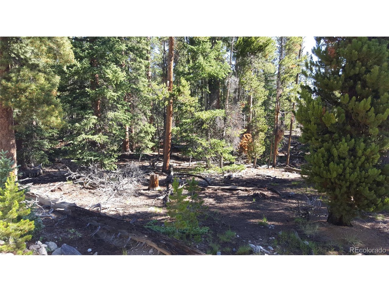 30 Crescent Road Fairplay, CO 80440 - Photo 27 of 36 Gallery Image 27