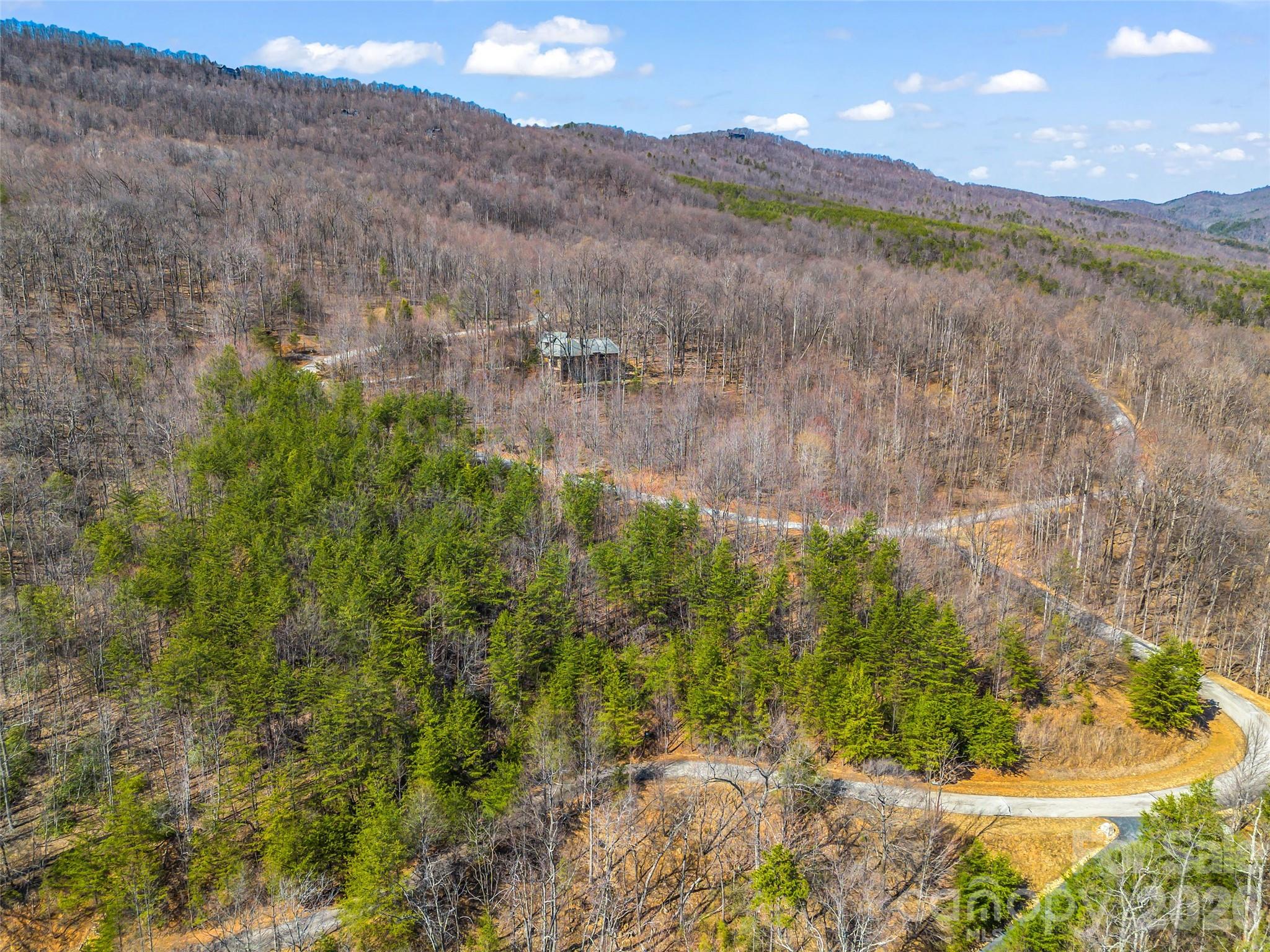 190 Cherry Hill, Unit NONE Mill Spring, NC 28756 - Photo 25 of 39 a view of a lake in middle of the forest