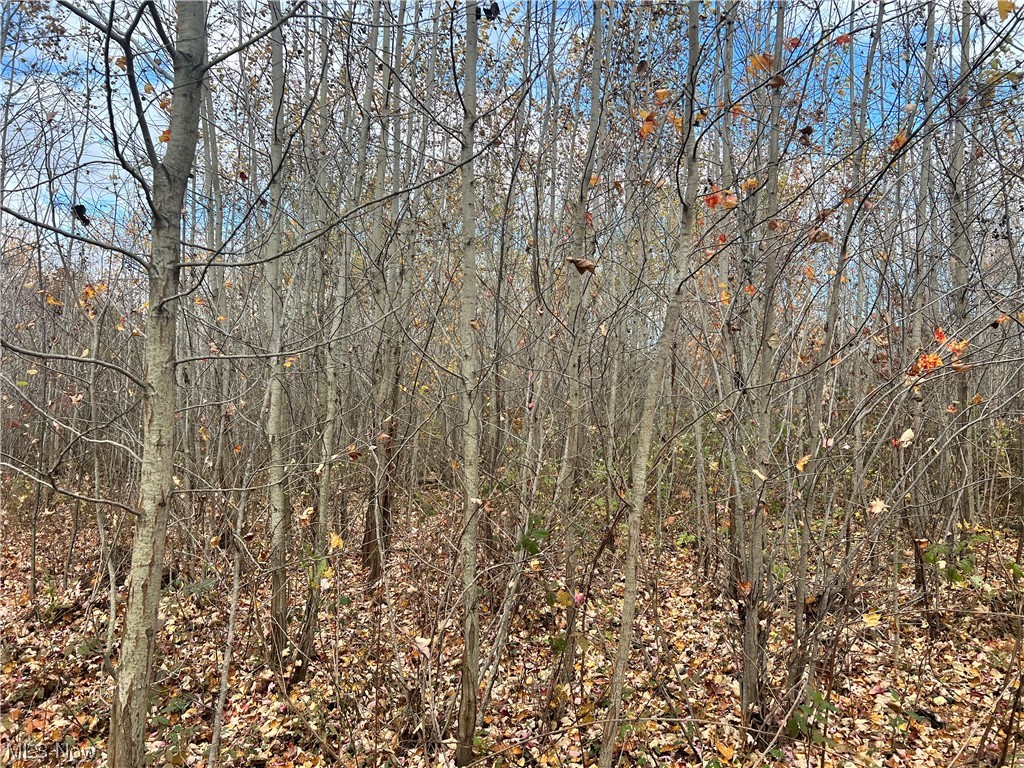 6 Us Route Pierpont, OH 44082 - Photo 10 of 32 View of mother earth's splendor