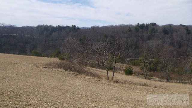 Lot # Breezy Ridge Sparta, NC 28675 - Photo 2 of 5 Gallery Image 2