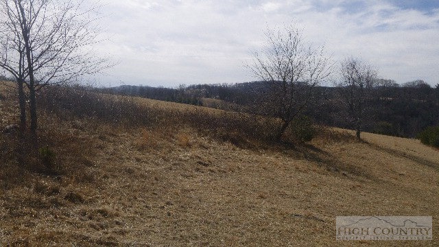 Lot # Breezy Ridge Sparta, NC 28675 - Photo 3 of 5 Gallery Image 3