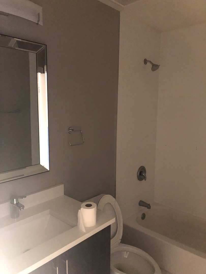 1734 West Cullerton Street, Unit 1 Chicago, IL 60608 - Photo 8 of 12 a bathroom with a sink and a bathtub