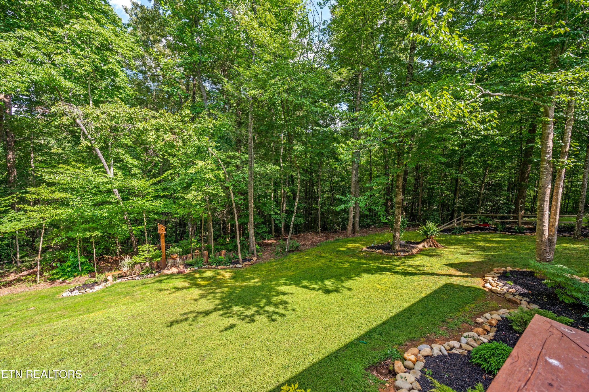 144 Lakeside Townsend, TN 37882 - Photo 47 of 56 a view of a yard with a tree