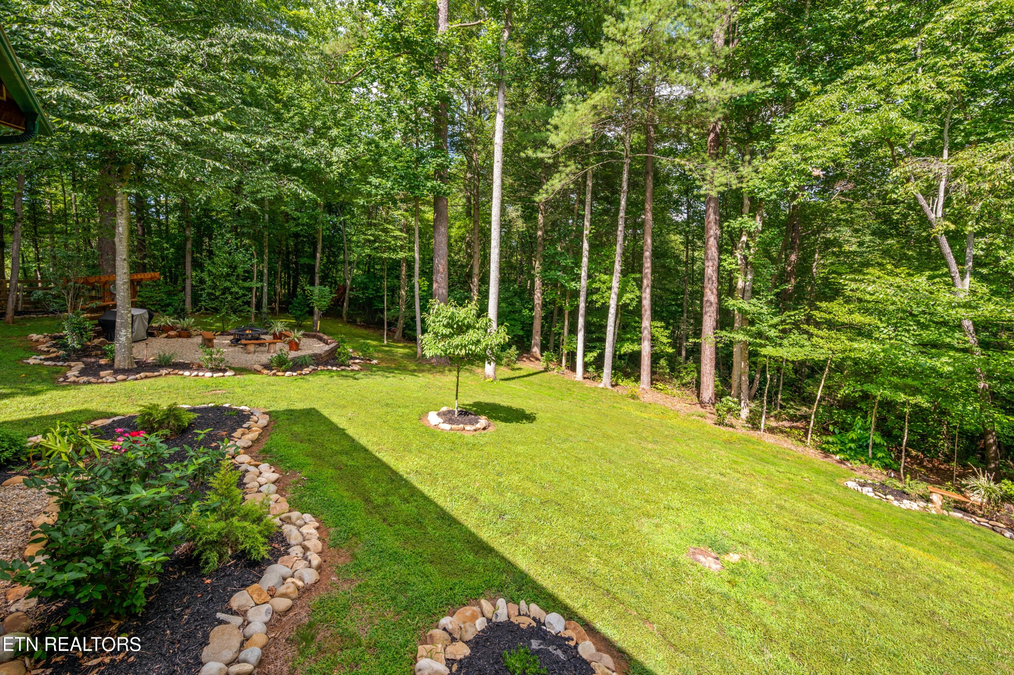 144 Lakeside Townsend, TN 37882 - Photo 48 of 56 a view of a park with large trees