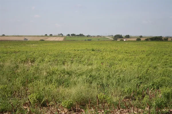 $264,000 | Tbd Gooseneck Road, Unit 1, Bartlett, TX 76511