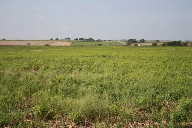 $264,000 | Tbd Gooseneck Road, Unit 1, Bartlett, TX 76511