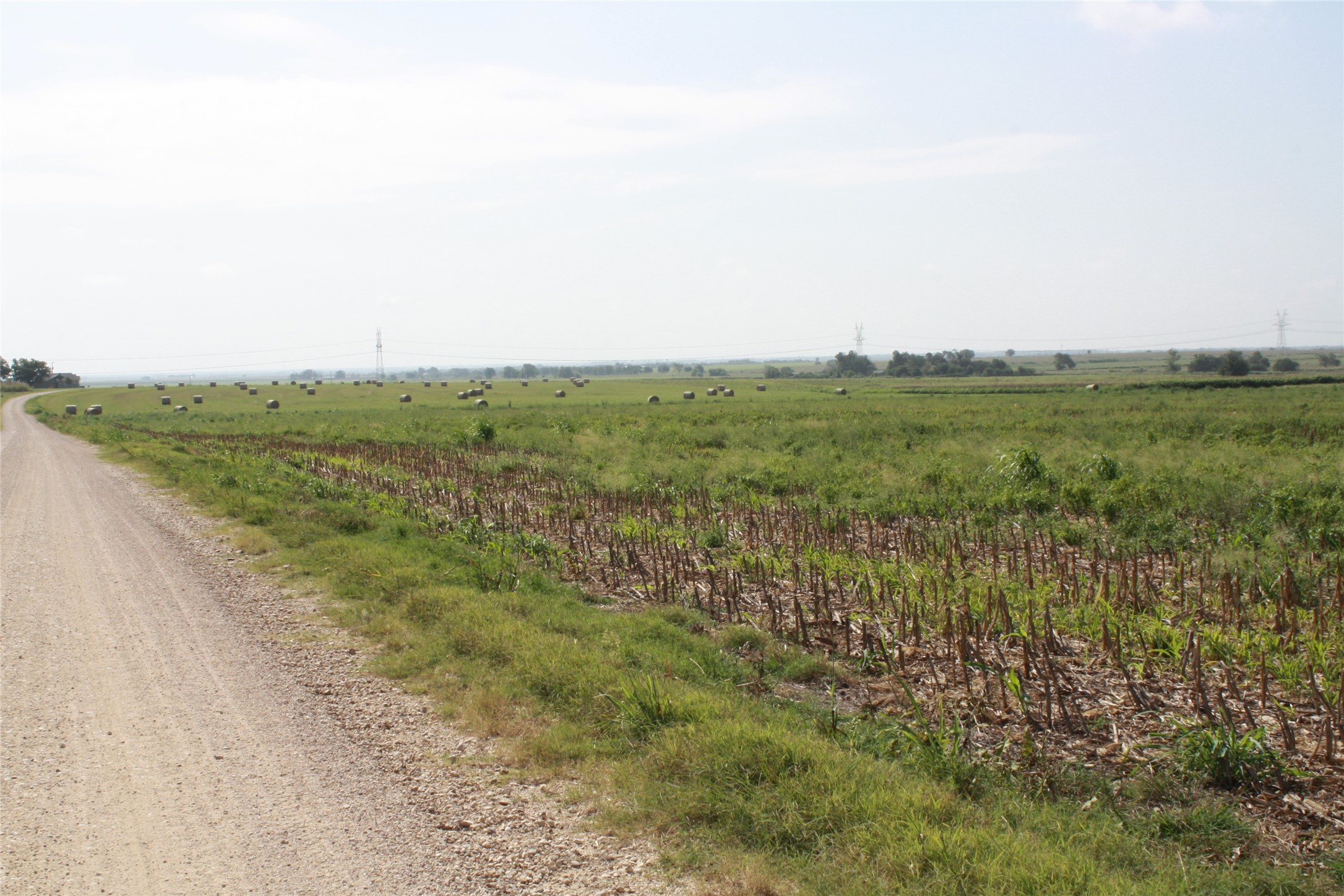 Tbd Gooseneck Road, Unit 1 Bartlett, TX 76511 - Photo 14 of 14 a view of a field with an trees