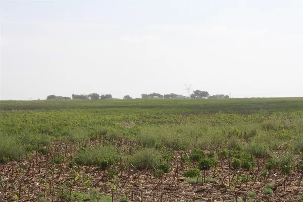 a view of a green field