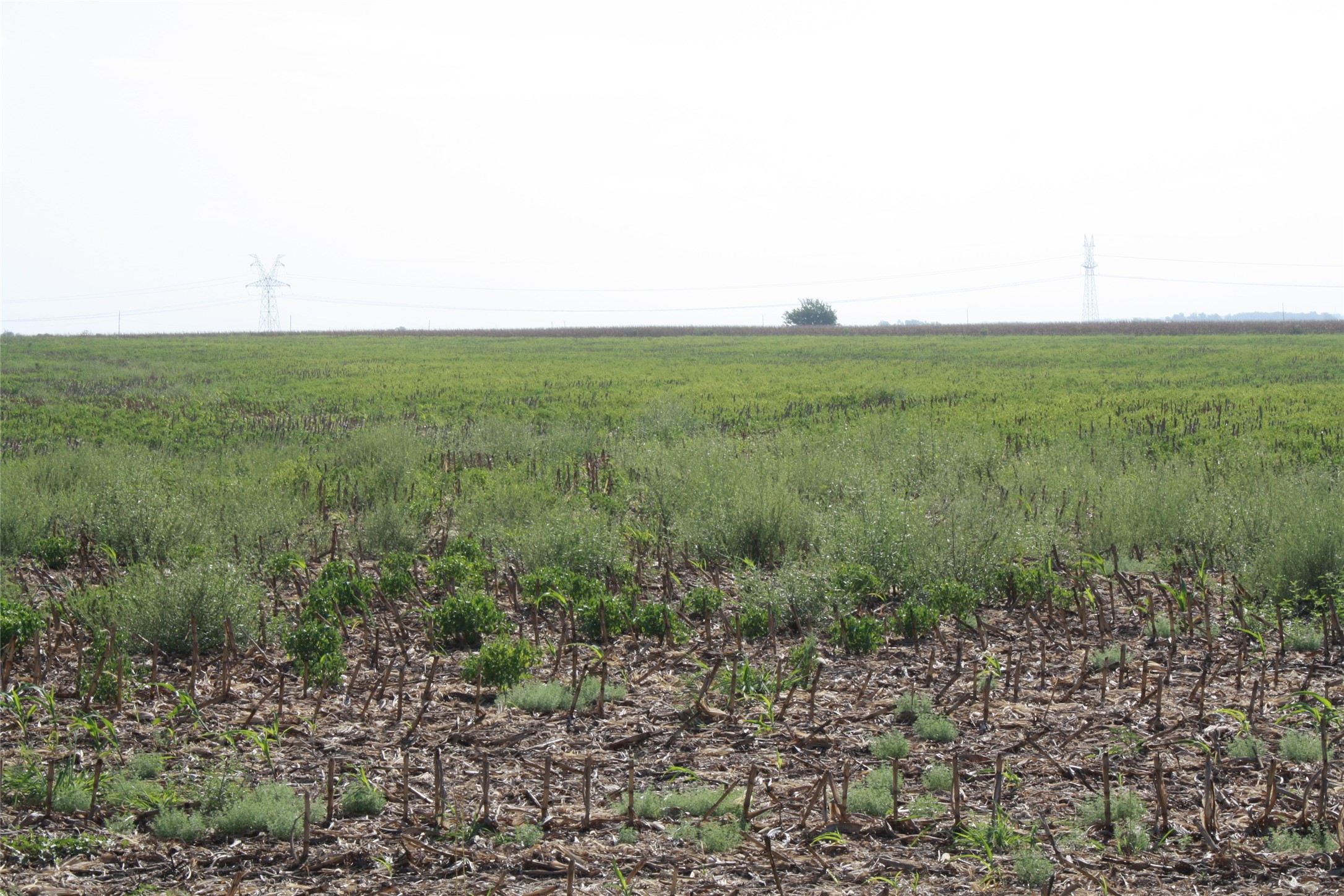 Tbd Gooseneck Road, Unit 1 Bartlett, TX 76511 - Photo 8 of 14 a view of a field with an ocean view