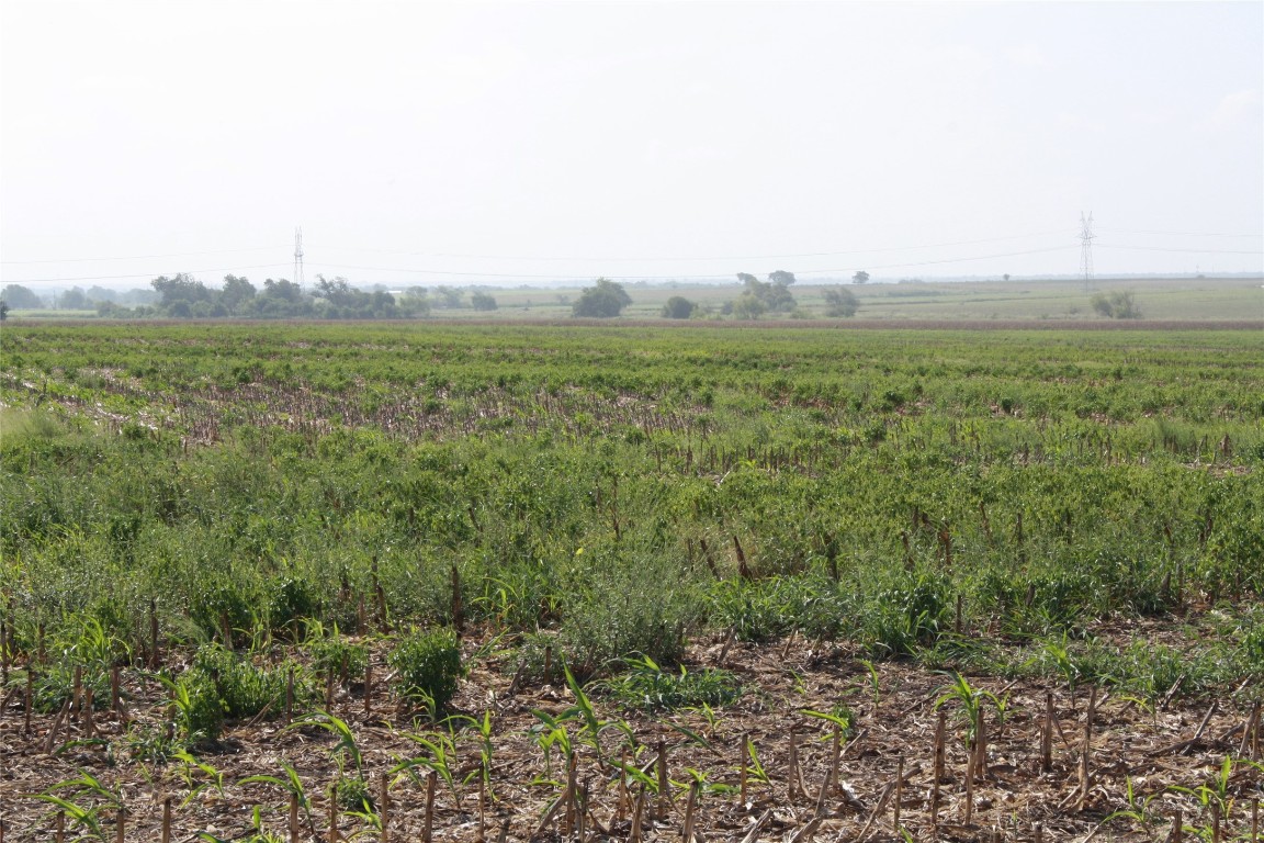 Tbd Gooseneck Road, Unit 1 Bartlett, TX 76511 - Photo 9 of 14