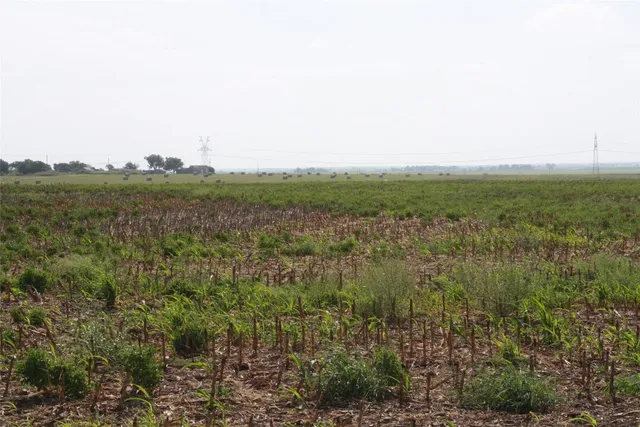 $264,000 | Tbd Gooseneck Road, Unit 1, Bartlett, TX 76511