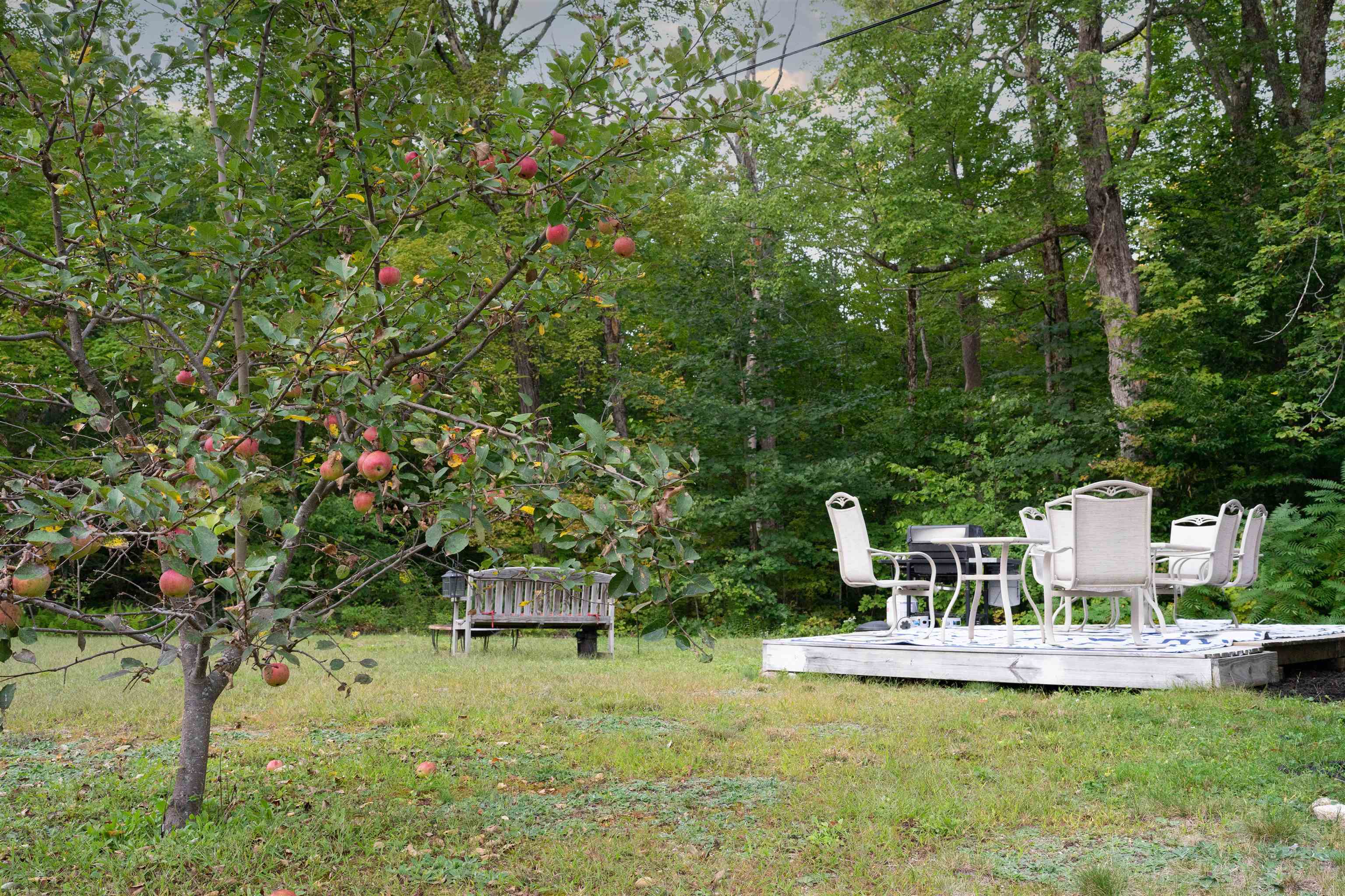 40 Neal Shore Road Meredith, NH 03253 - Photo 11 of 13