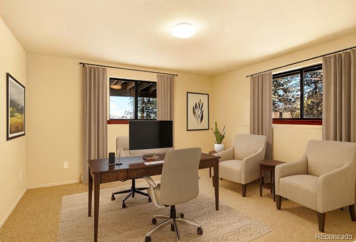 217 Catamount Ridge Road Bailey, CO 80421 - Photo 31 of 40