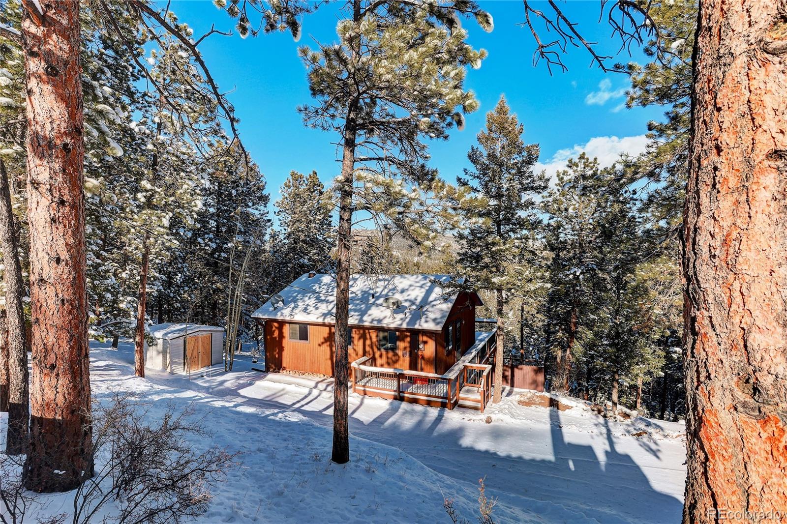 217 Catamount Ridge Road Bailey, CO 80421 - Photo 39 of 43