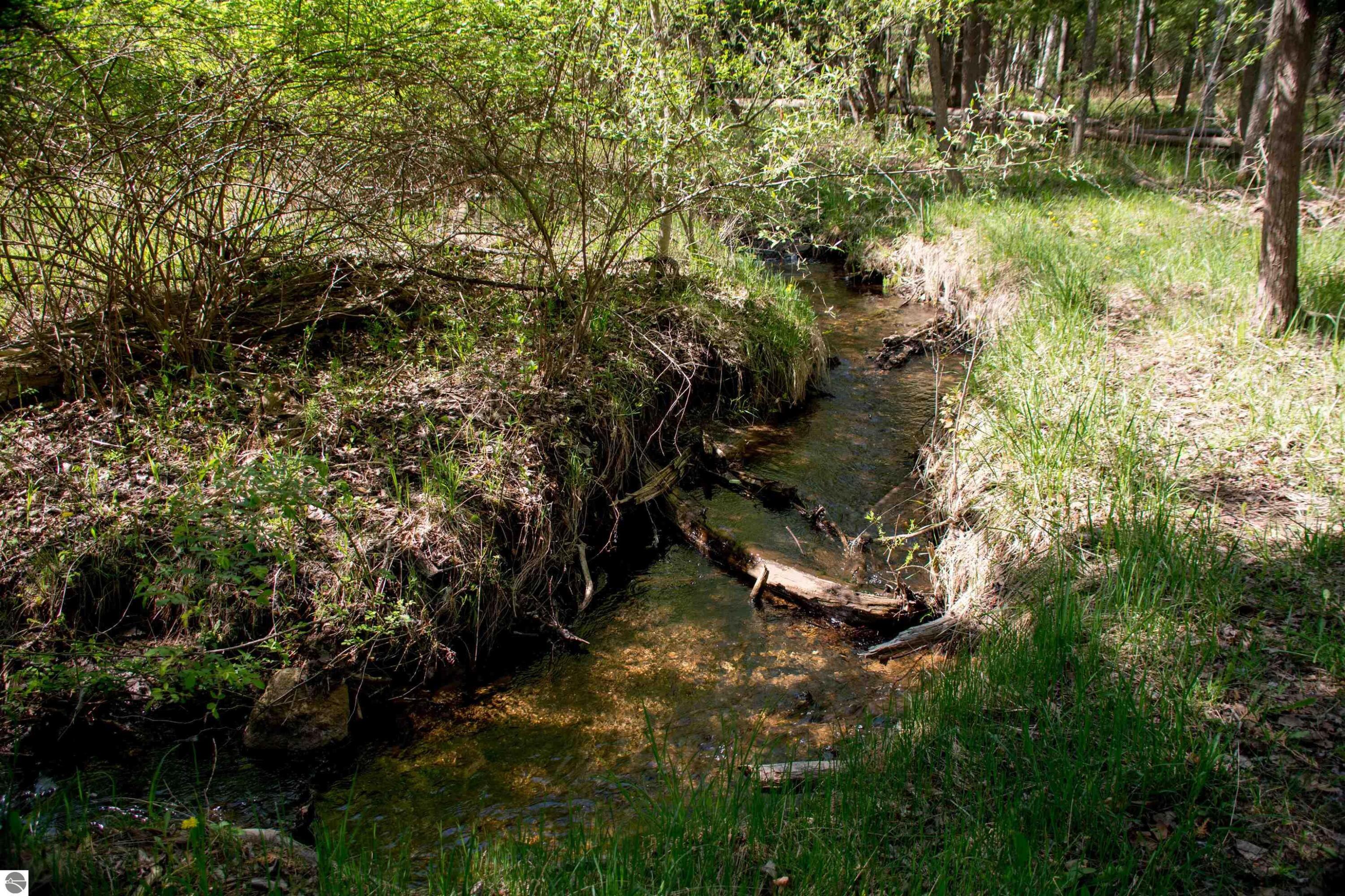 1436 Vanderlip Road Traverse City, MI 49686 - Photo 2 of 12 1909451-22