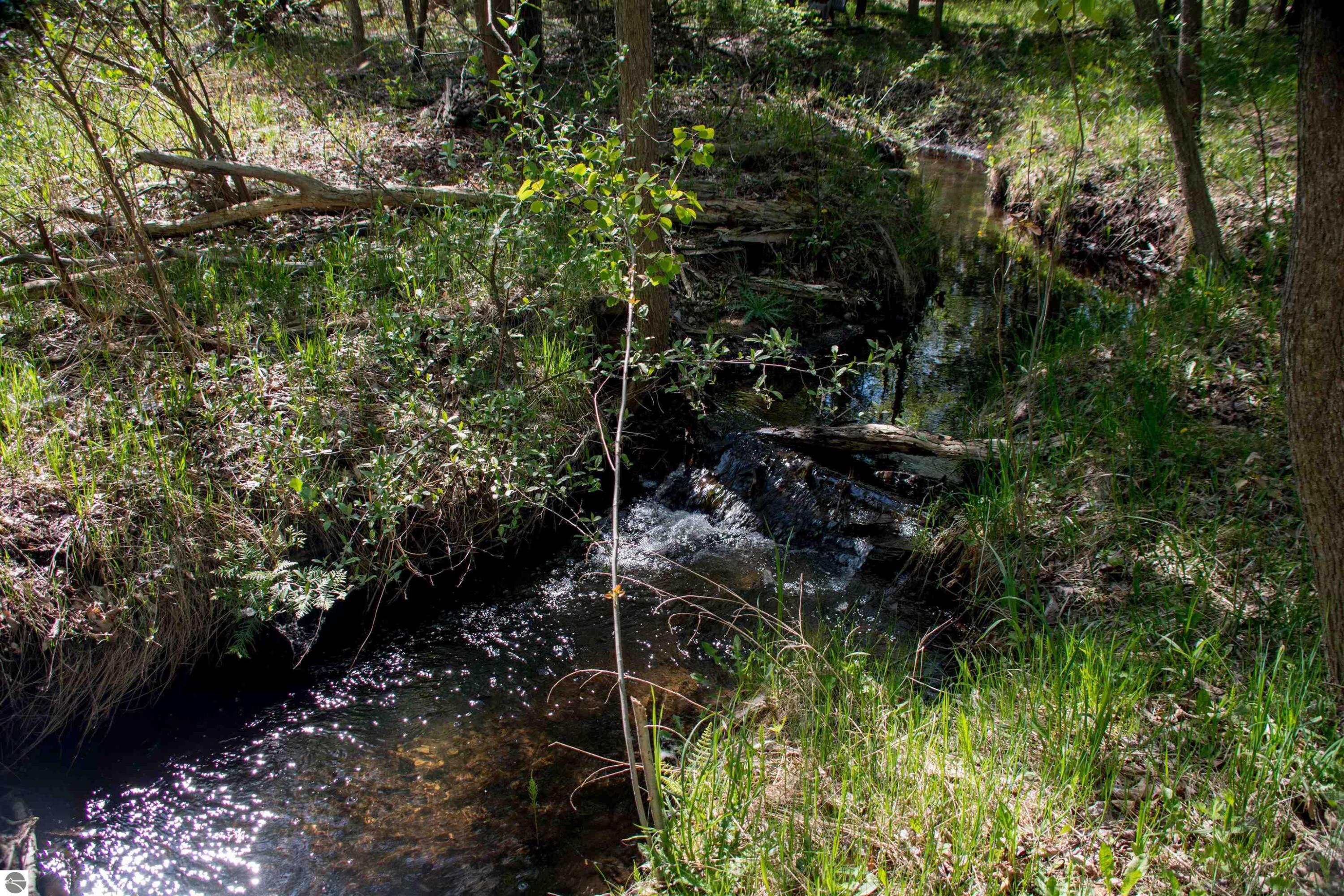 1436 Vanderlip Road Traverse City, MI 49686 - Photo 3 of 12 1909451-20