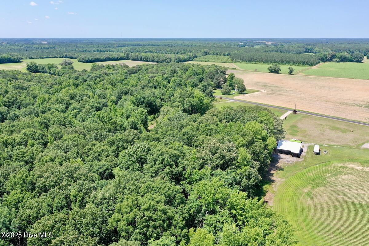 141 Arthur Majette Road Aulander, NC 27805 - Photo 57 of 115 9