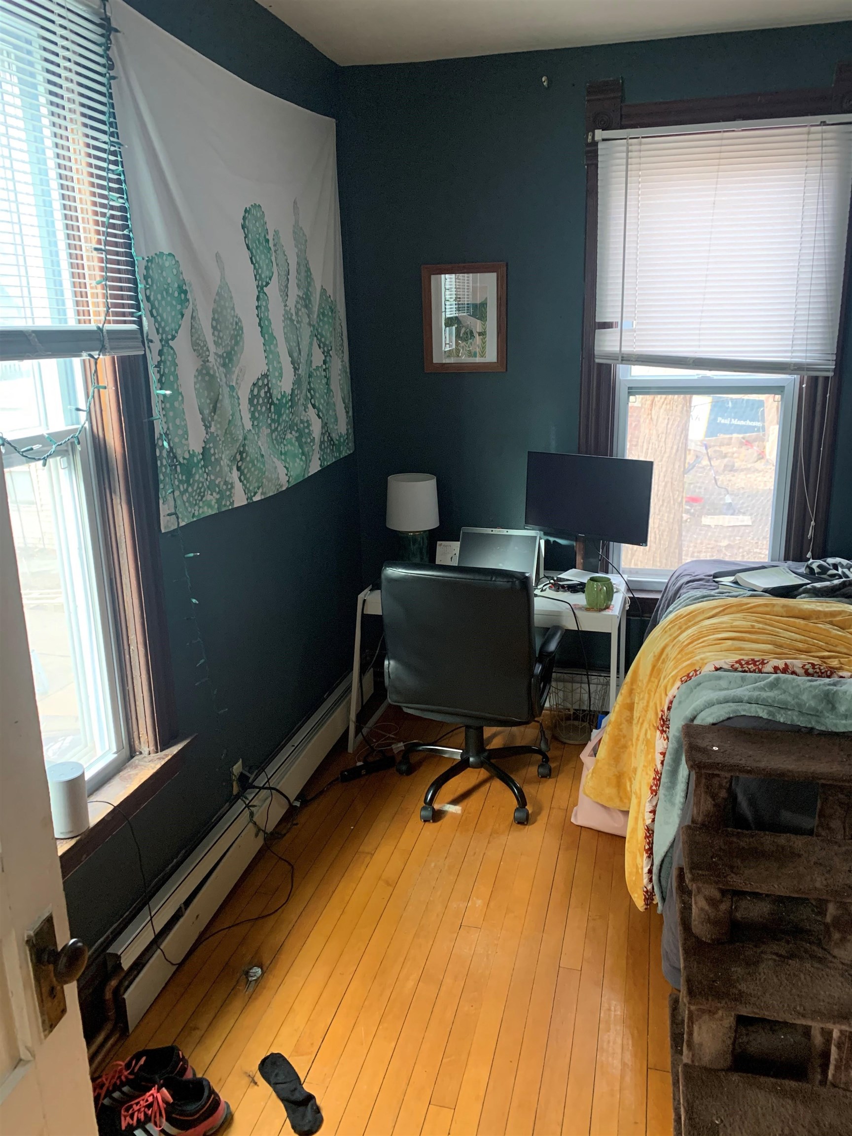 411 South Paterson Street Madison, WI 53703 - Photo 7 of 22