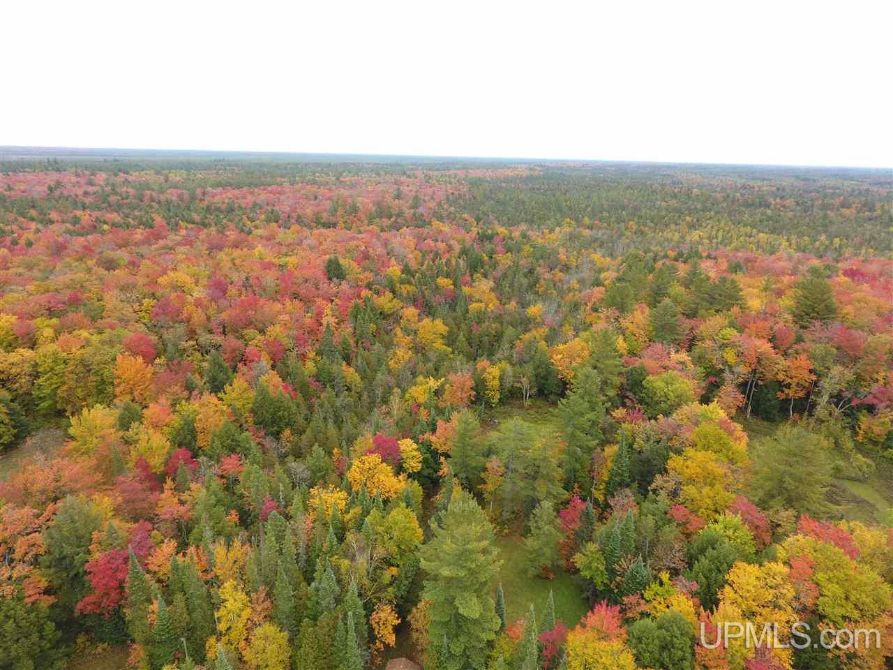 9738 Graves Road Manistique, MI 49854 - Photo 33 of 48 Gallery Image 33