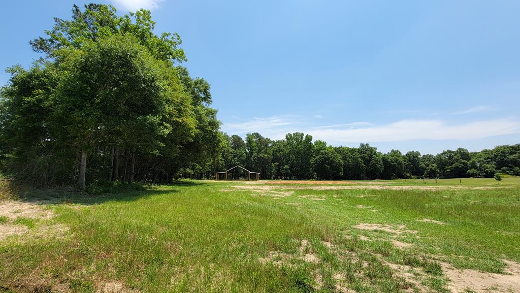 7.1-acres Cobb Road Dothan, AL 36301 - Photo 50 of 55