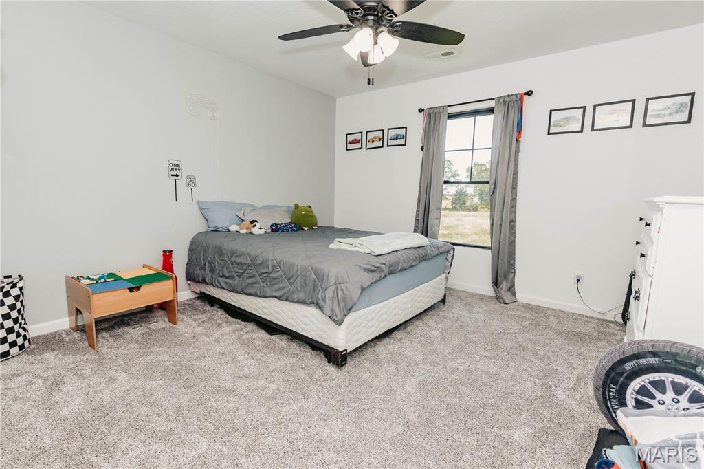 14946 Colorado Road Dixon, MO 65459 - Photo 50 of 95