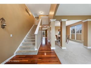 1479 Breeze Way Bolingbrook, IL 60490 - Photo 3 of 30