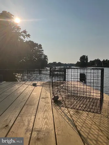 a lake view with a garden