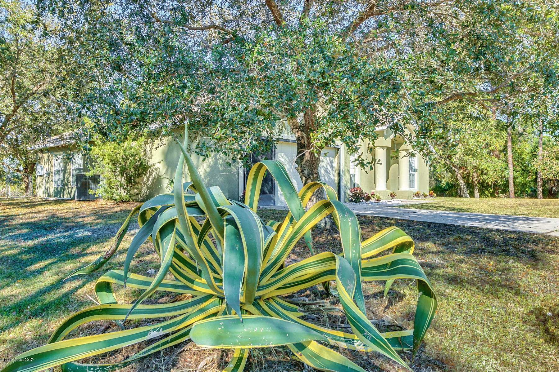 2992 Tishman Road Southeast Palm Bay, FL 32909 - Photo 3 of 28 Gorgeous Landscaping