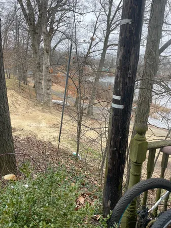 a backyard of a house with lots of green space