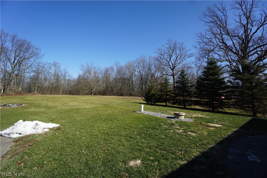 6444 New Road Austintown, OH 44515 - Photo 3 of 33 Gallery Image 3