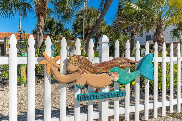 a view of a yard with plants and palm trees