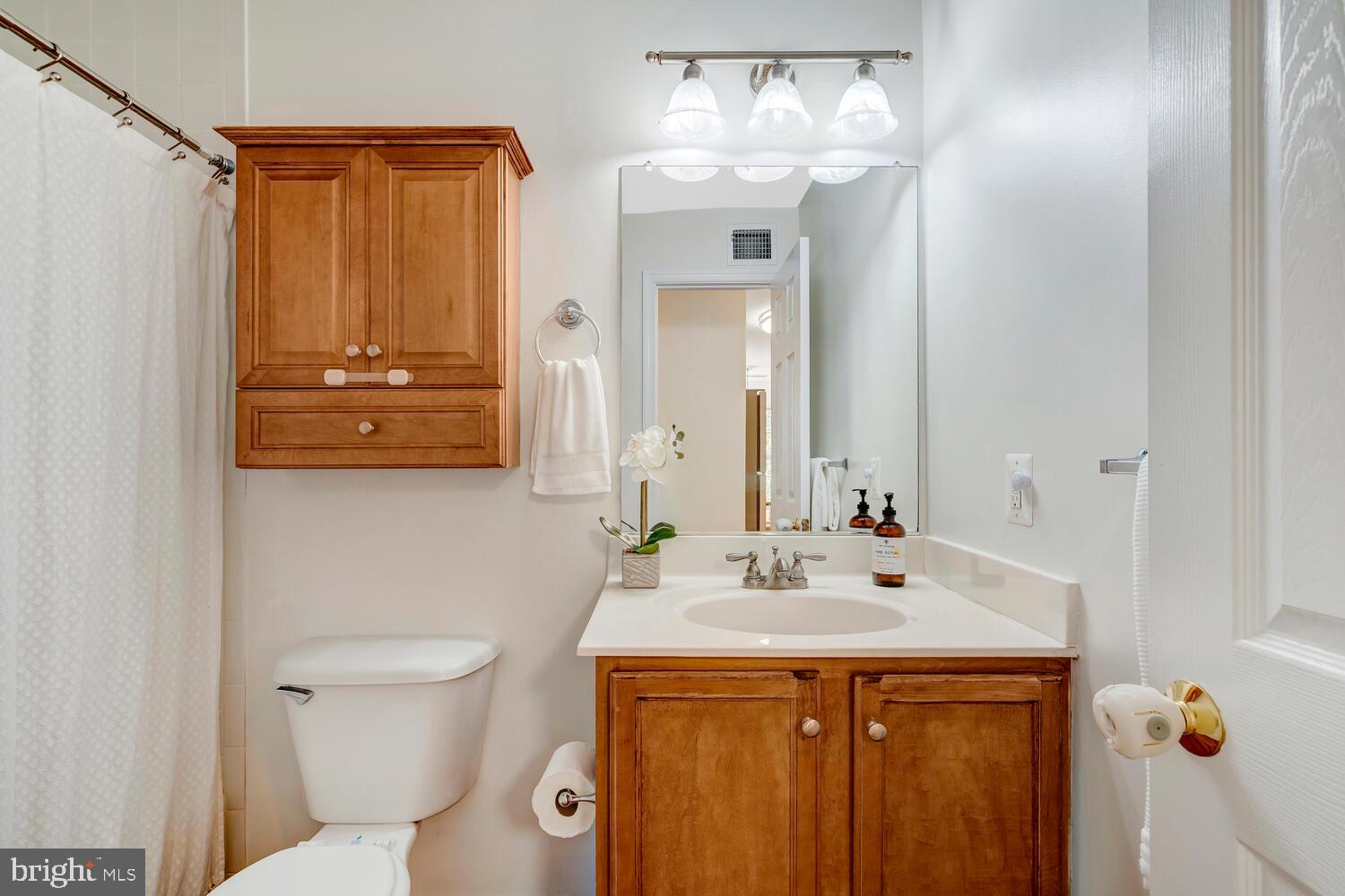 1791 Jonathan Way, Unit 1791C Reston, VA 20190 - Photo 56 of 58 a bathroom with a sink a toilet and mirror