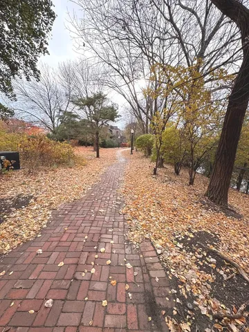 $380,000 | 3329 South Racine Avenue, Chicago, IL 60608