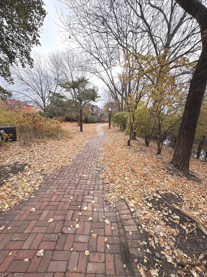 3329 South Racine Avenue Chicago, IL 60608 - Photo 31 of 33 a street view covered with snow