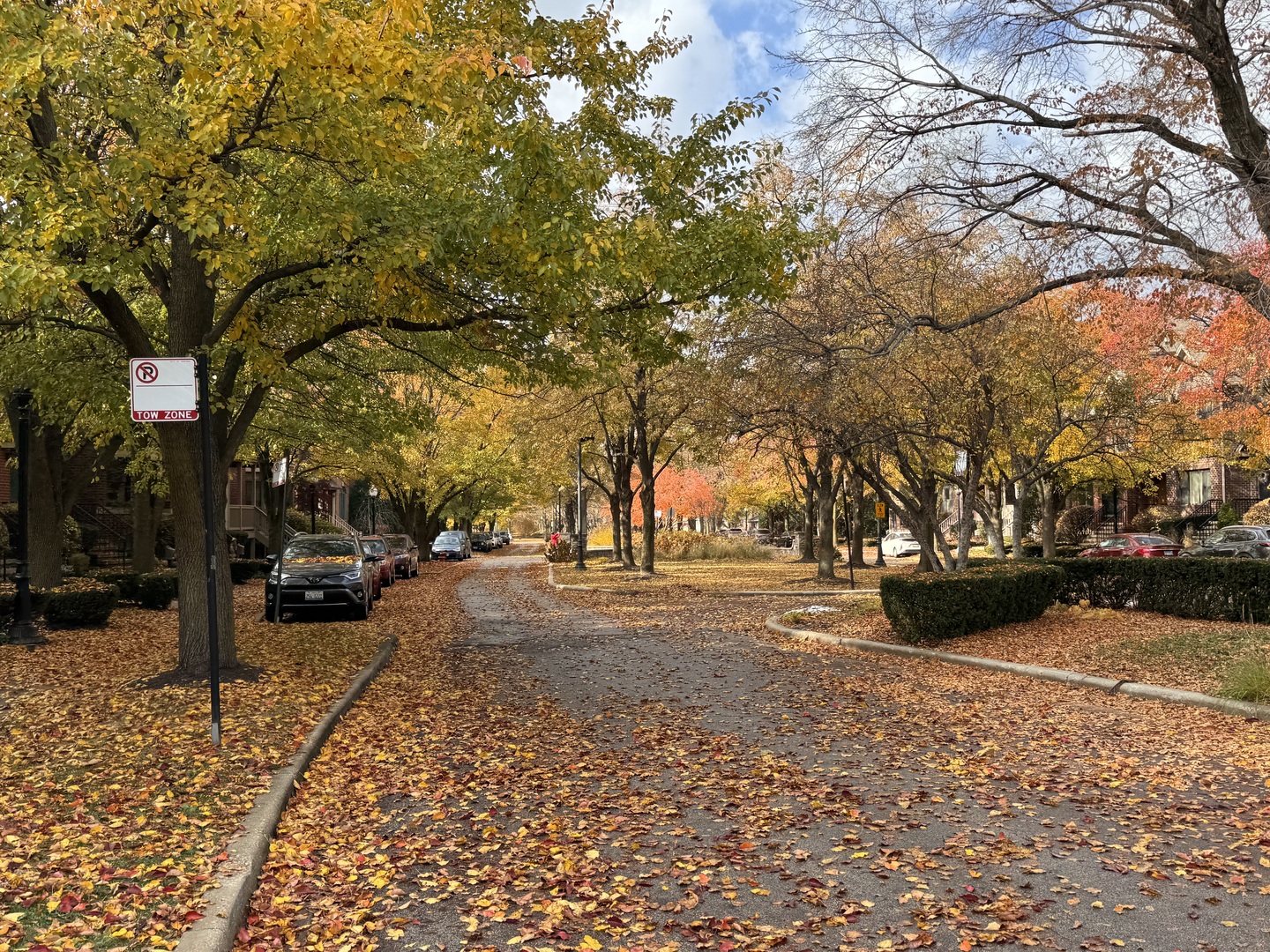 3329 South Racine Avenue Chicago, IL 60608 - Photo 33 of 33 a view of a street with a tree