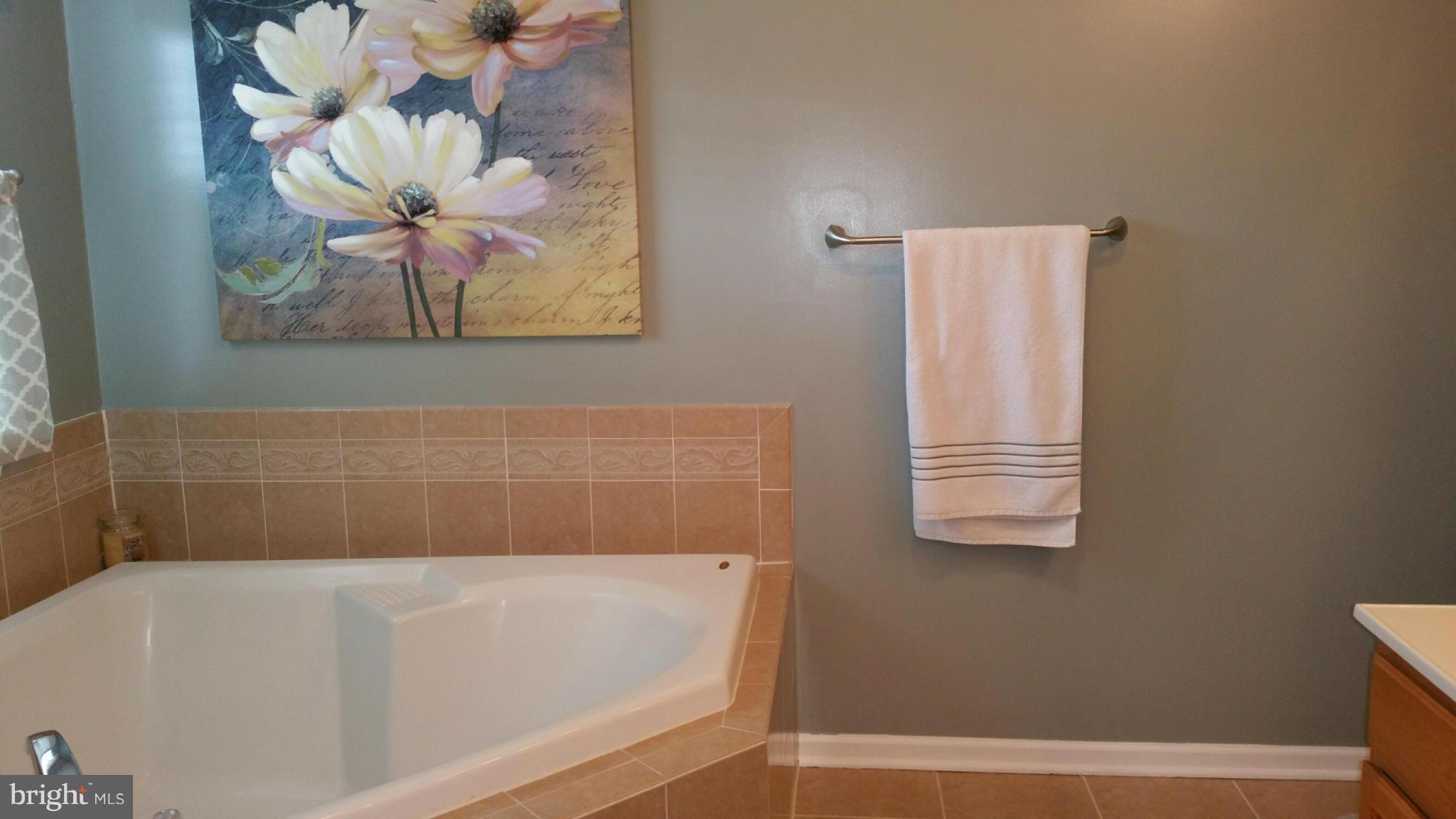 917 Tipton Road Baltimore, MD 21220 - Photo 11 of 24 a bathroom with a sink and a bathtub