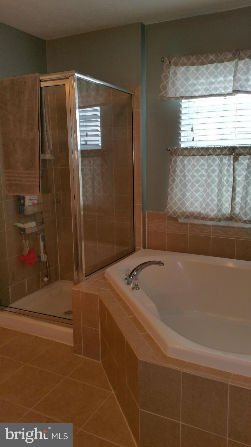917 Tipton Road Baltimore, MD 21220 - Photo 12 of 24 a bathroom with a tub and a shower