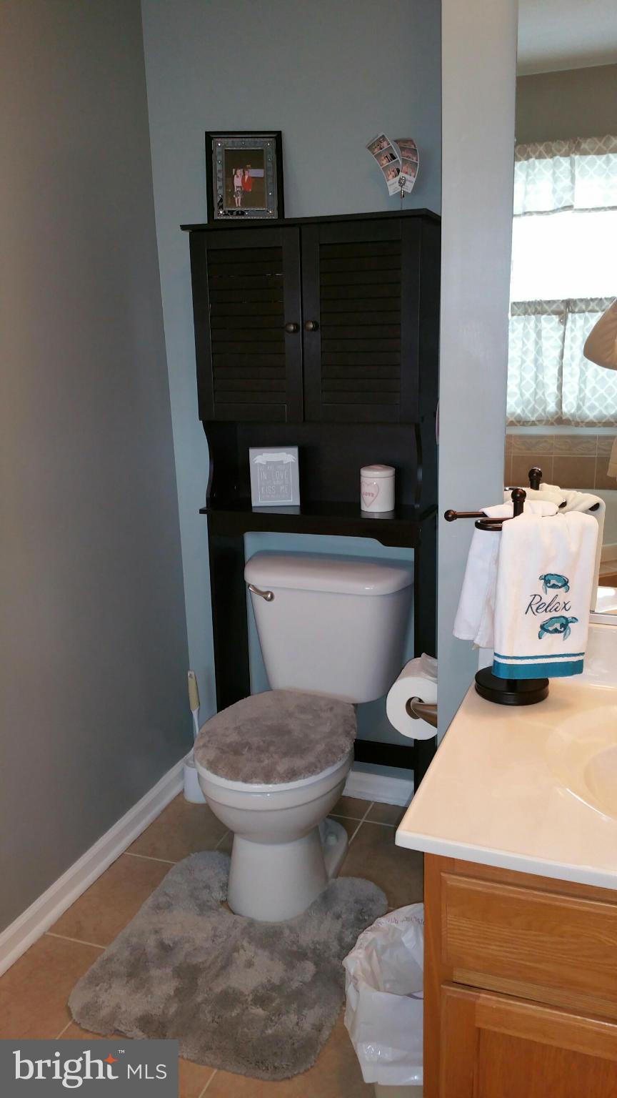 917 Tipton Road Baltimore, MD 21220 - Photo 13 of 24 a bathroom with a toilet and a sink