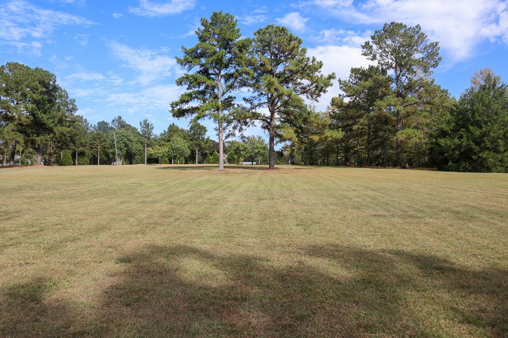 533 Limestone Road Dothan, AL 36301 - Photo 45 of 48
