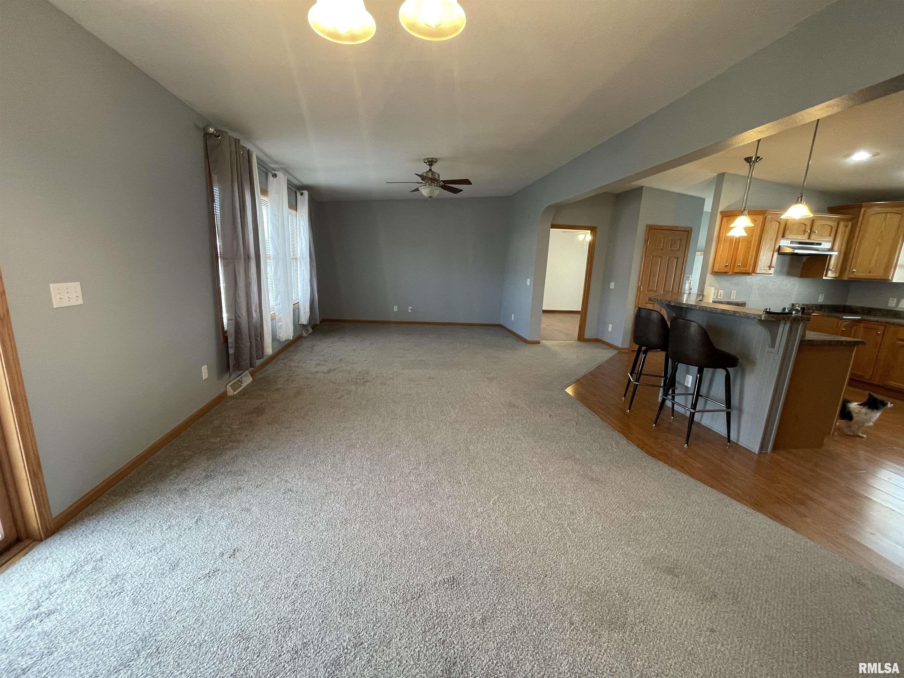 501 Mill Ridge Road Clinton, IA 52732 - Photo 3 of 23 Gallery Image 3