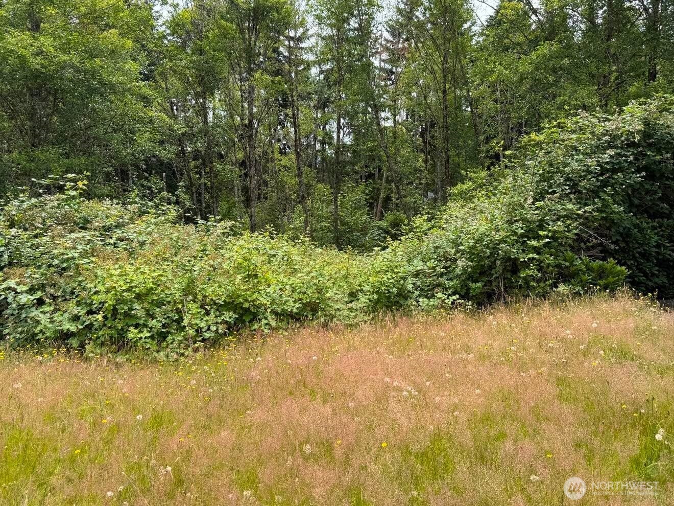 244 North Dubois Road Ariel, WA 98603 - Photo 27 of 34