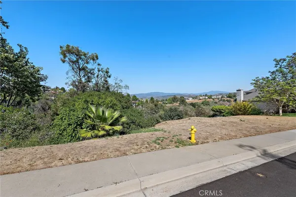view of a road with a garden
