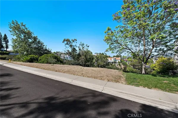 a view of city street with a trees
