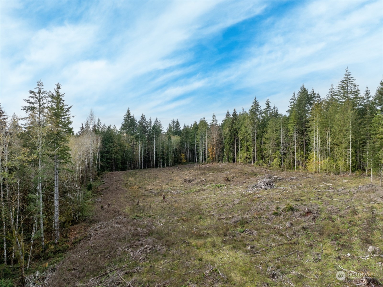 0 East Strong Road, Unit 34 Shelton, WA 98584 - Photo 2 of 8 a view of dirt field with large trees