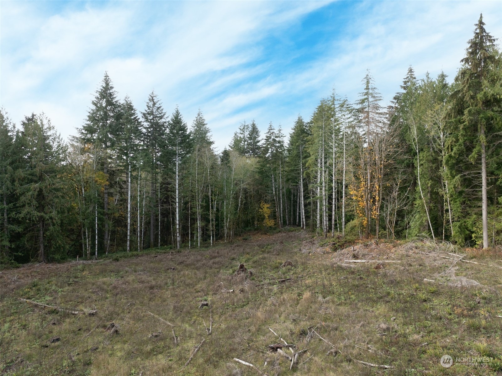 0 East Strong Road, Unit 34 Shelton, WA 98584 - Photo 3 of 8 a view of outdoor space with trees