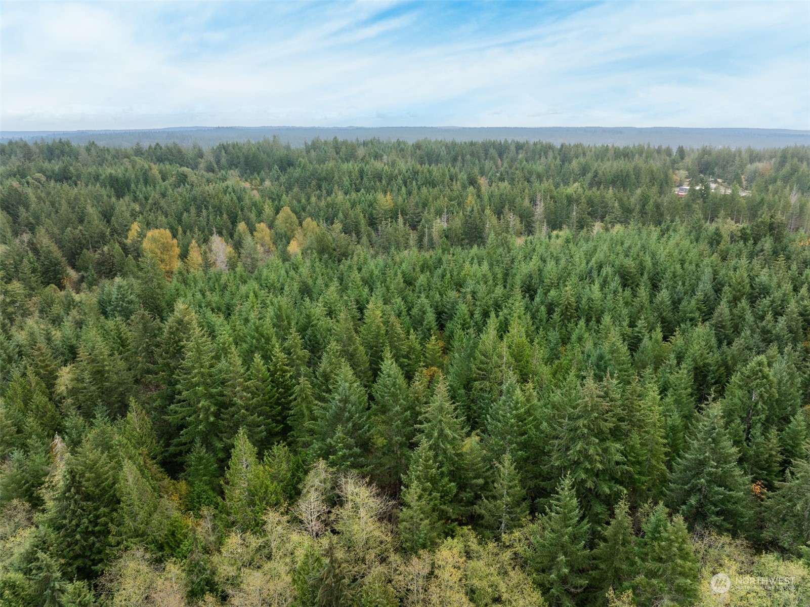 0 East Strong Road, Unit 34 Shelton, WA 98584 - Photo 5 of 8 a view of a city with lush green forest