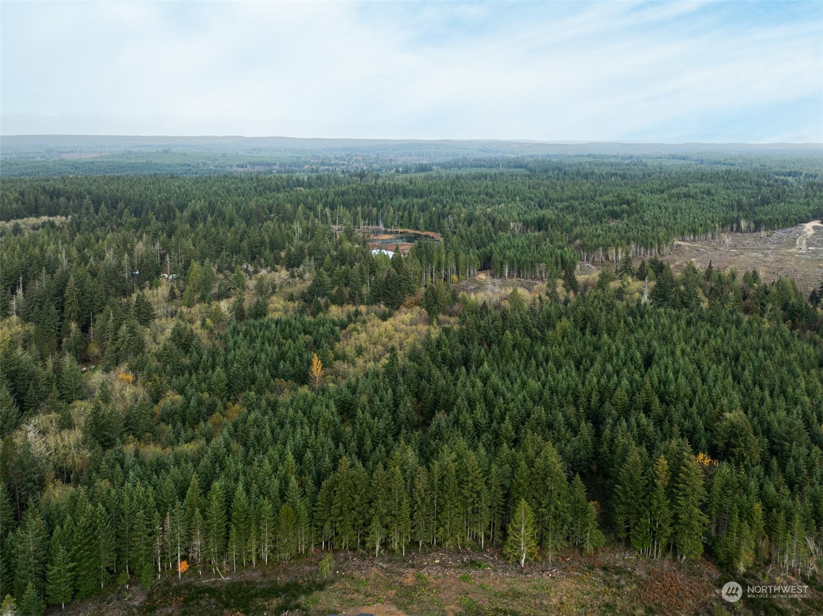 0 East Strong Road, Unit 34 Shelton, WA 98584 - Photo 7 of 8 a view of a city with lush green forest