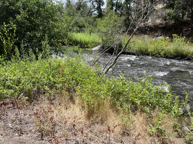 a backyard of a house with lots of green space